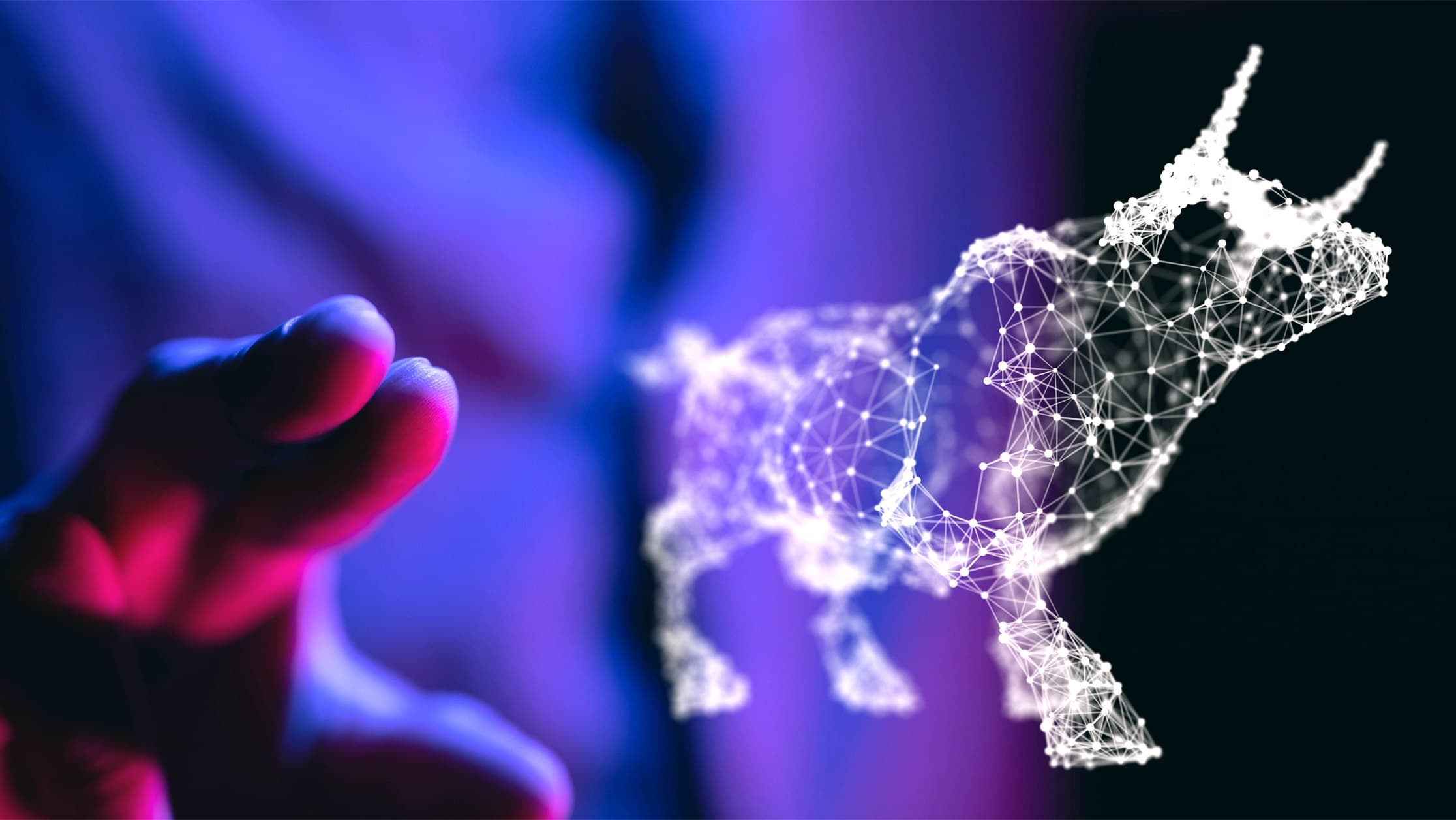Technical and Fundamental Evidence Hint Bitcoin Is at Early Bull Stage: Analyst