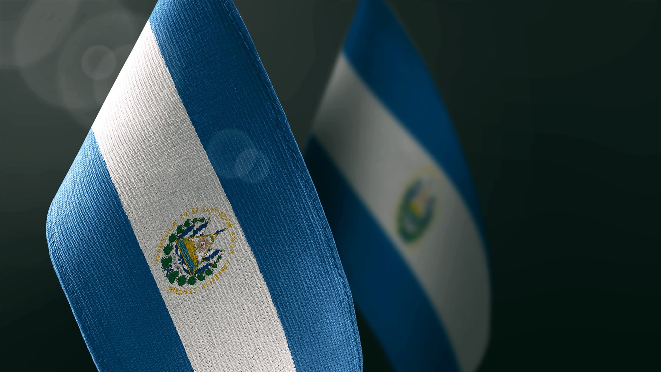 Salvadoran Group Takes to the Streets to Protest Bitcoin Law