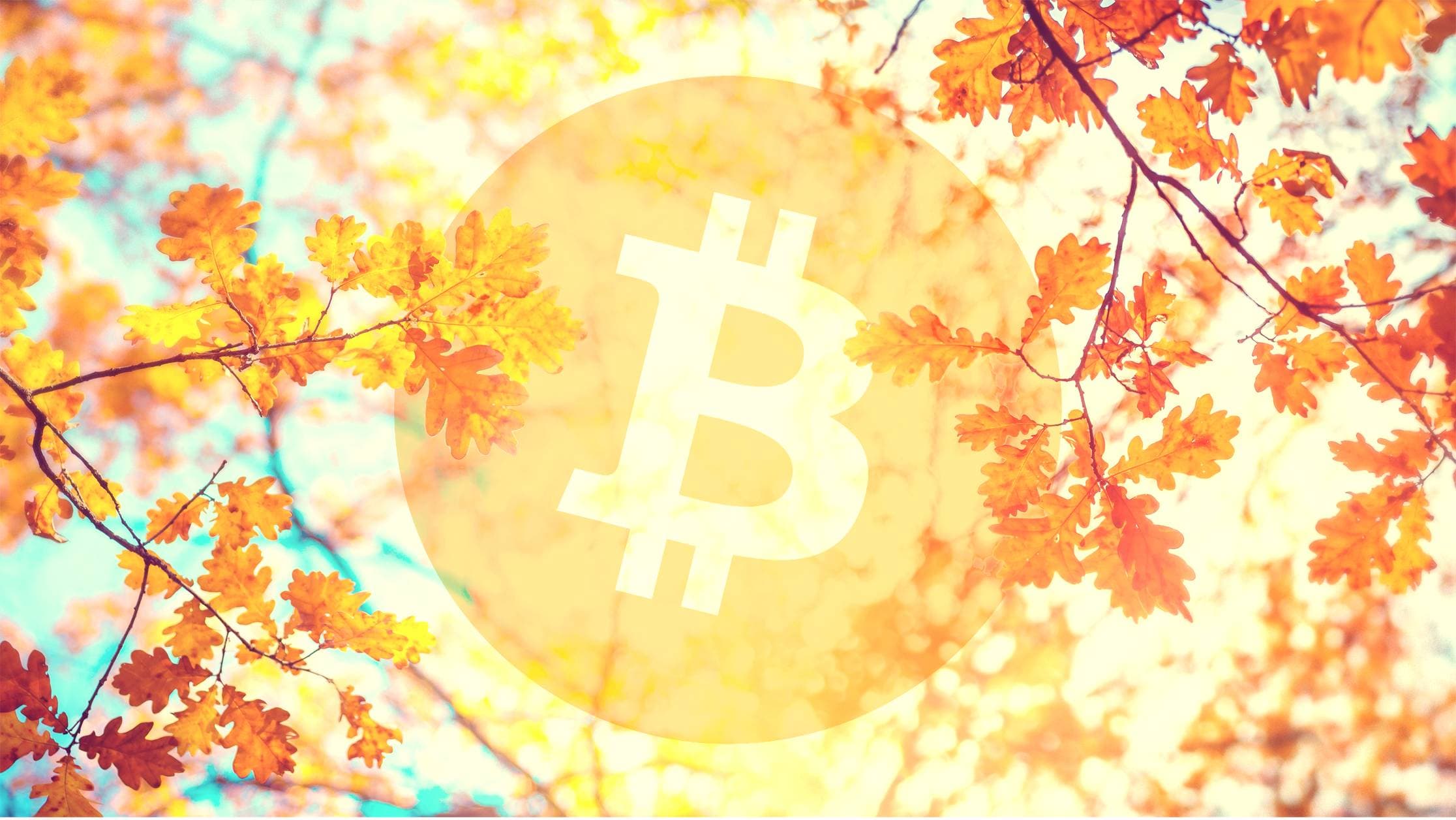 Bitcoin's Tepid Price Action in September Is Historically Normal