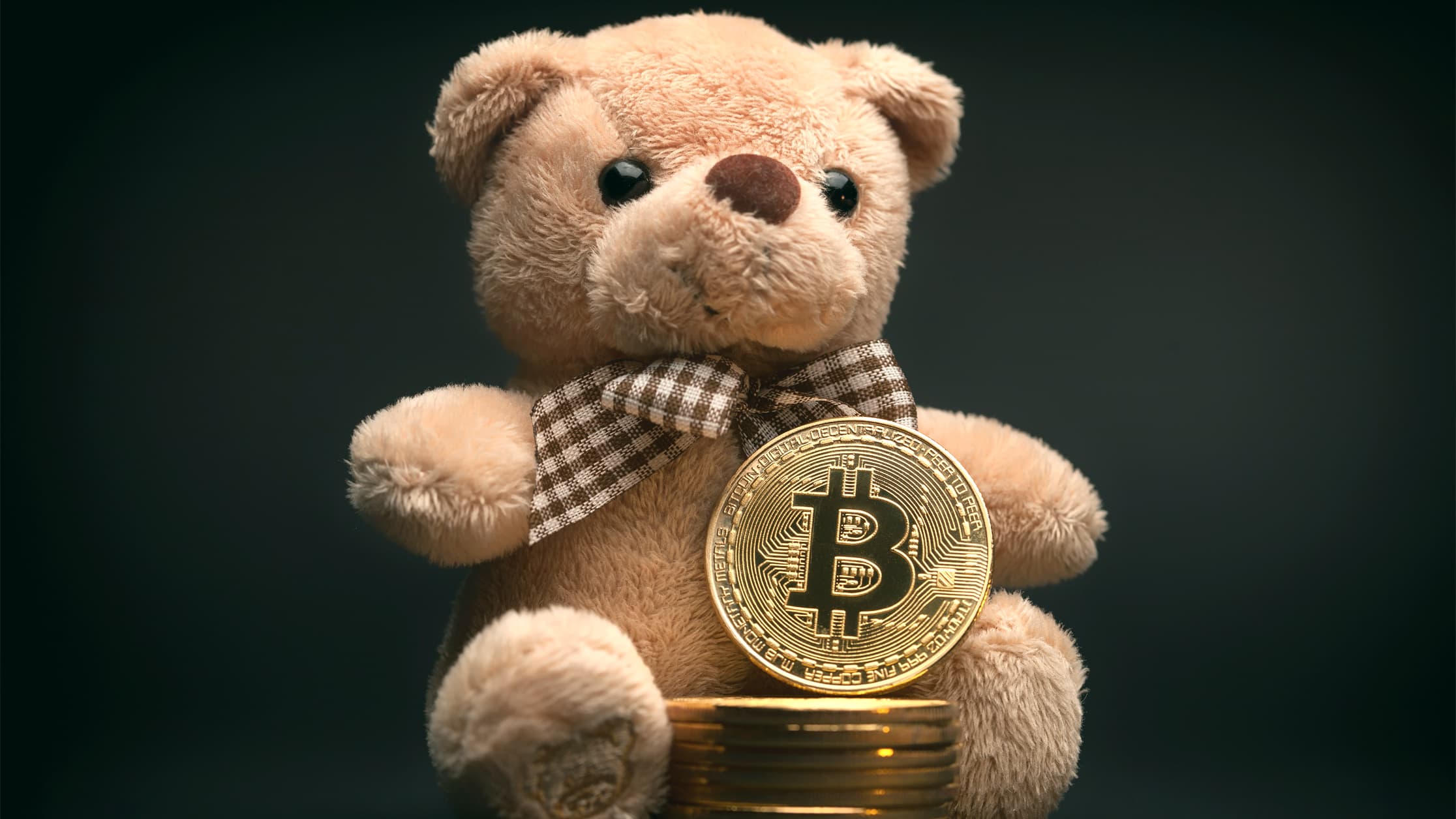 No, Bitcoin Is Not in a Bear Market