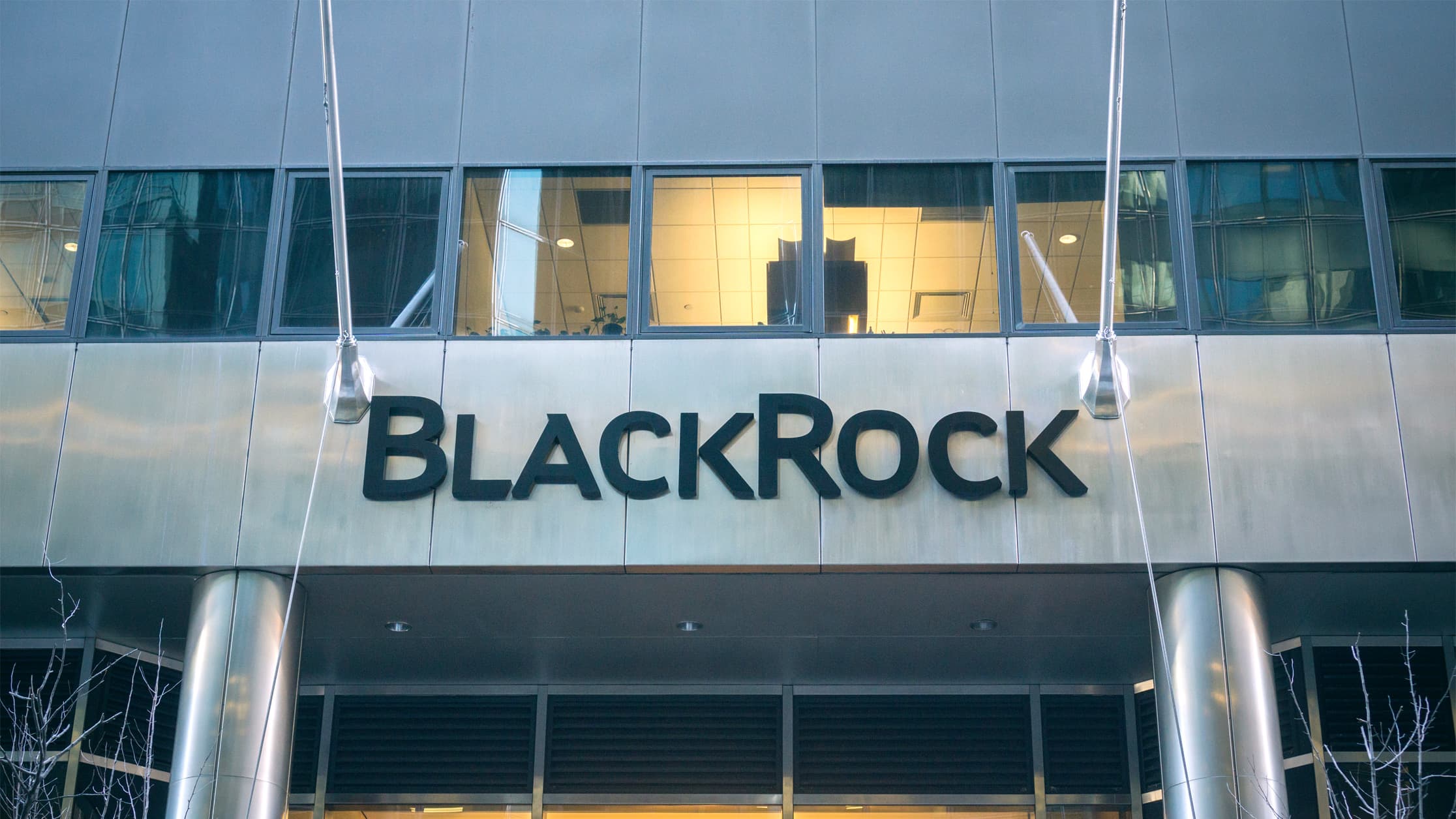 BlackRock Executive Says Bitcoin to Take Place of Gold "to a Large Extent"