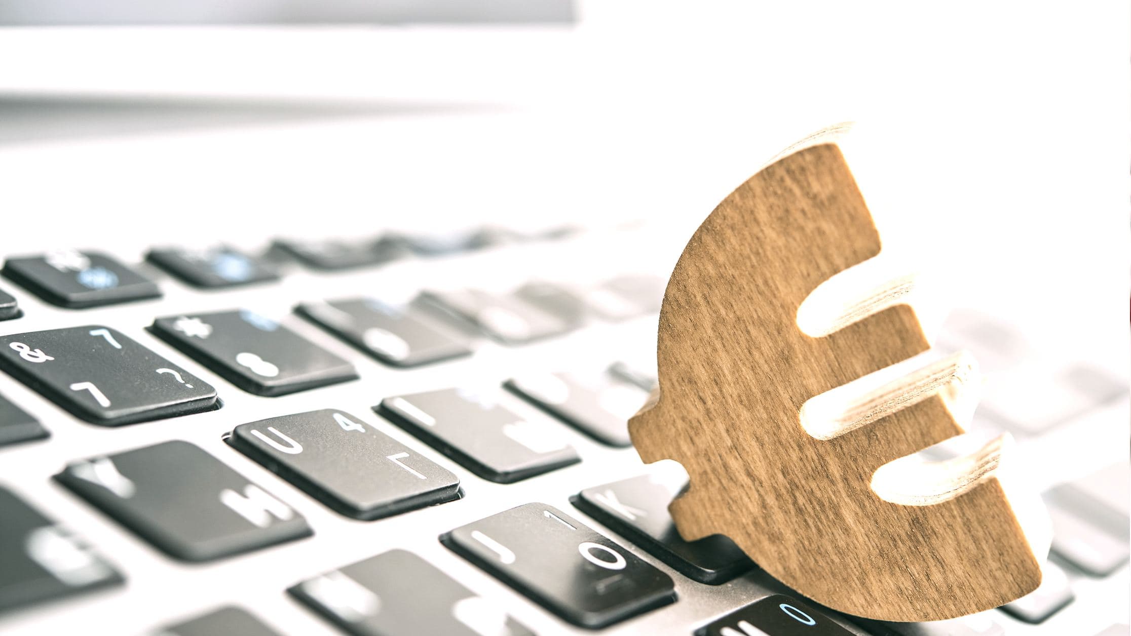 European Central Bank Launches Public Survey on Digital Euro