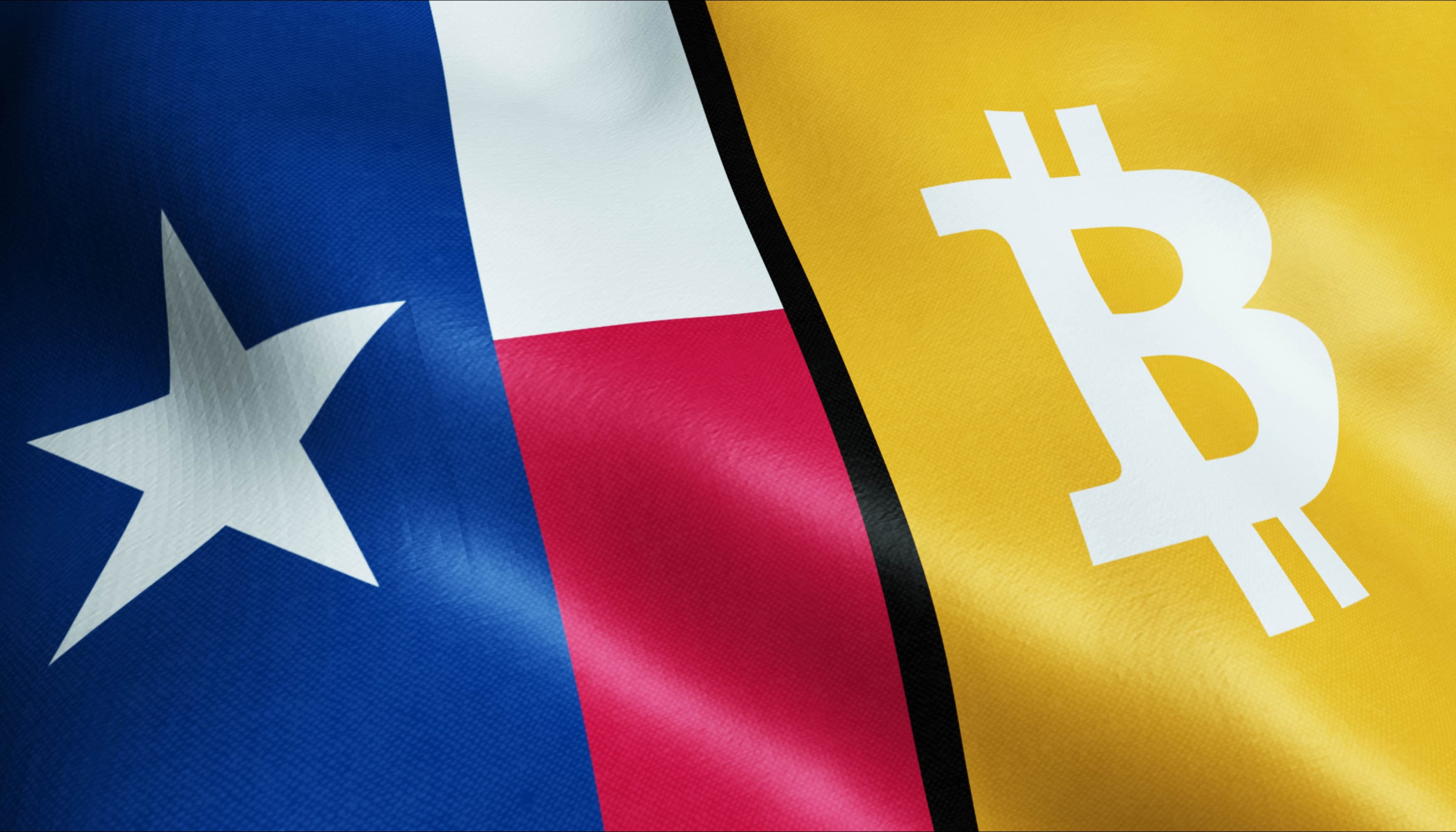 Texas Bitcoin Foundation Launches