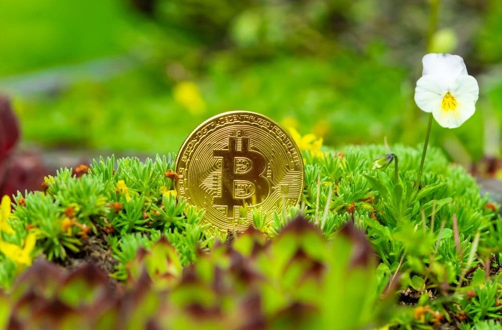 Norway Shows the World How Green Bitcoin Mining Is
